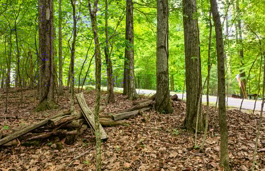 Running Deer Trail Lot-8