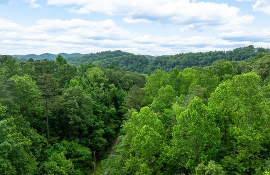 Winding Trail Lot-12