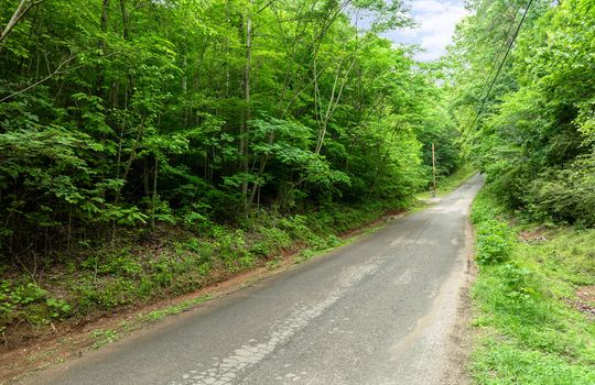 Winding Trail Lot-4