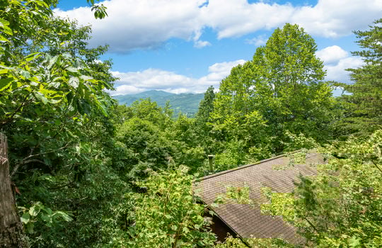 3856 ravens den way-51