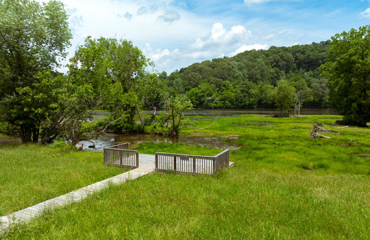 lot 12 holston shores-9