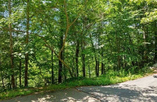 lot 24 25r cascade-1