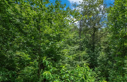 Cedar Gate Lane - Lot 512-5