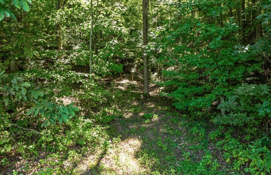 110 halcomb drive-45