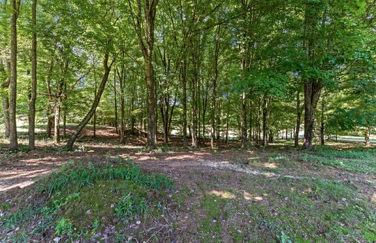 110 halcomb drive-48
