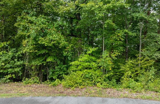 blue bird lane lot-2
