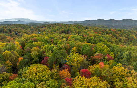 2101 red bud road-38