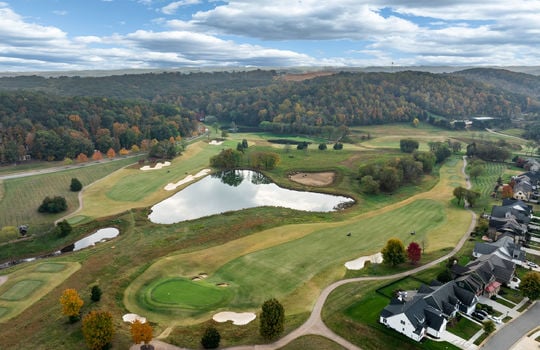 2920 chestnut lane-11