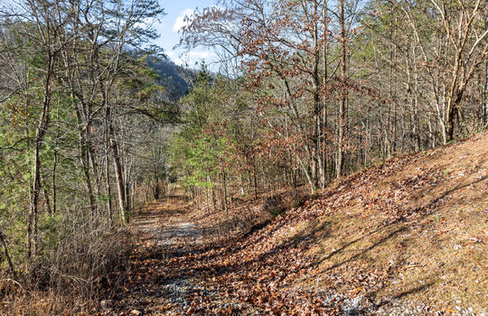 3461 lost branch rd-45