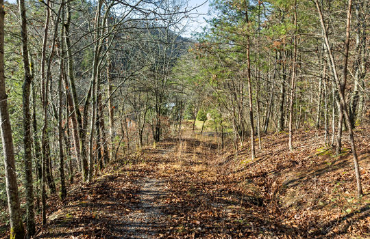 3461 lost branch rd-46