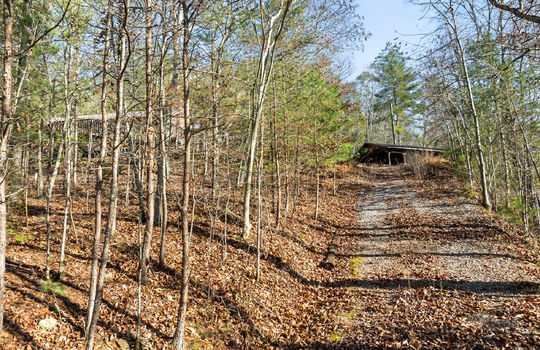 3461 lost branch rd-47