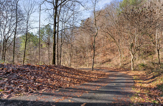 3461 lost branch rd-48