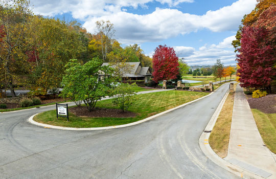 tennessee national fitz-03