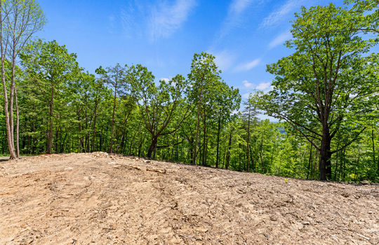 394 ridgewood rd-42
