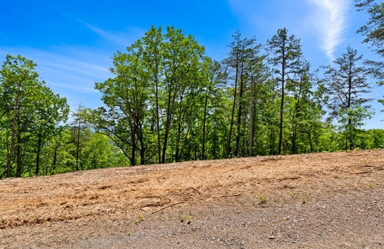 394 ridgewood rd-46