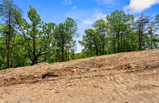 394 ridgewood rd-47