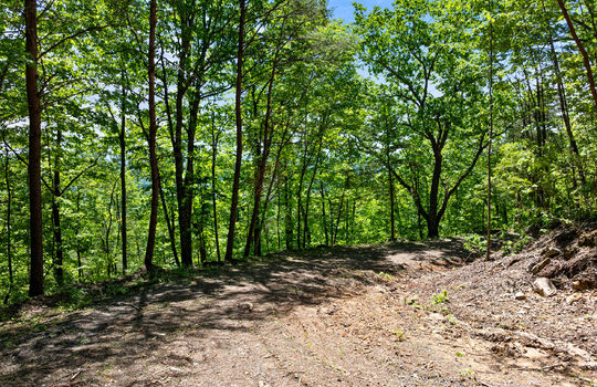 394 ridgewood rd-49