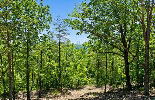 394 ridgewood rd-51