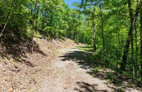 394 ridgewood rd-53