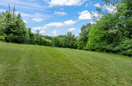 541 big springs road-59