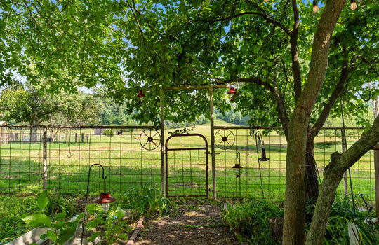 1245 paint rock valley rd-35