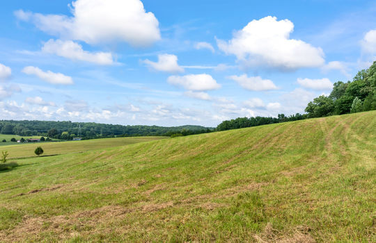 1245 paint rock valley rd-49