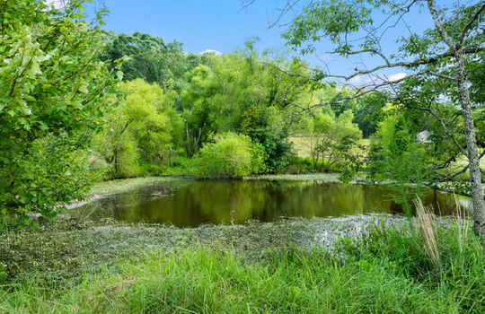 1245 paint rock valley rd-51