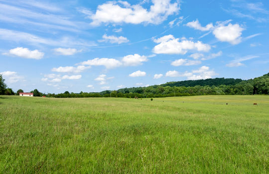 1245 paint rock valley rd-53