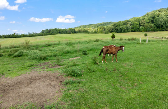 1245 paint rock valley rd-58