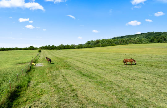1245 paint rock valley rd-60