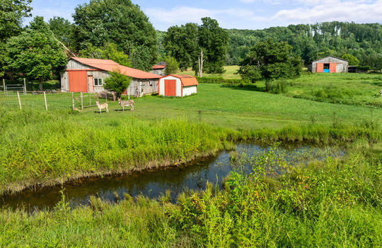 1245 paint rock valley rd-65