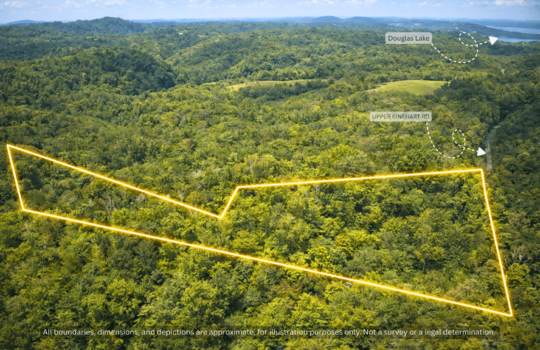6 Upper Rinehart Rd, Dandridge, TN 37725 (4)
