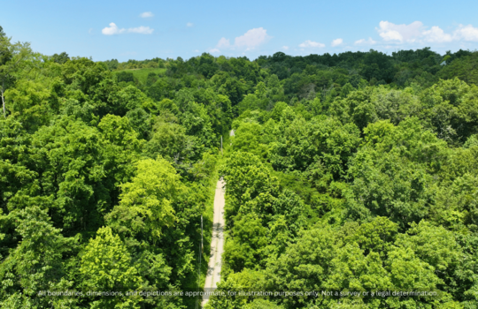 6 Upper Rinehart Rd, Dandridge, TN 37725 (7)