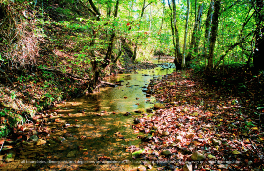 6 Upper Rinehart Rd, Dandridge, TN 37725 (8)