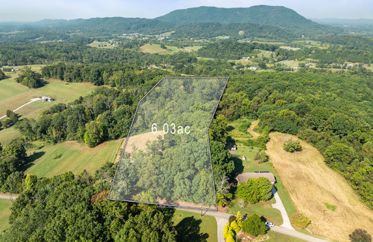 3951 strong rd-2