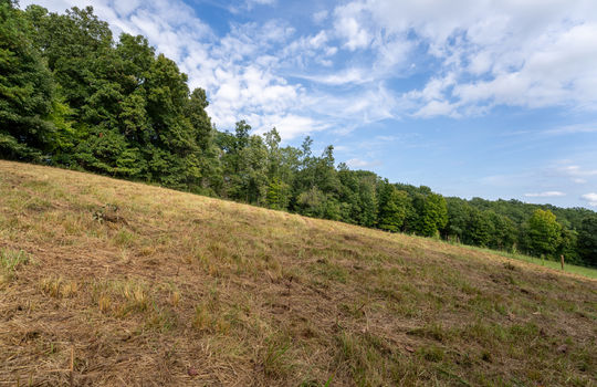 3951 strong rd-20