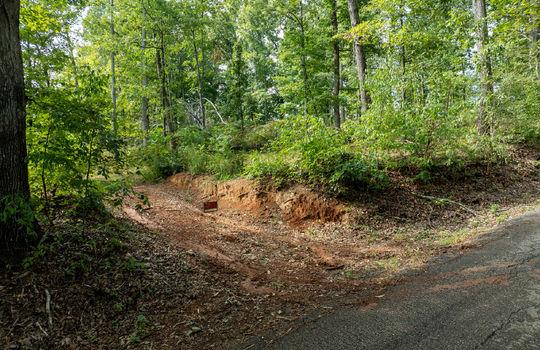 3951 strong rd-24