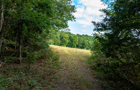 3951 strong rd-28