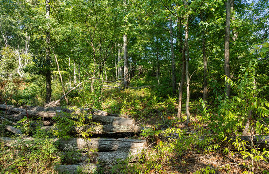 3951 strong rd-9