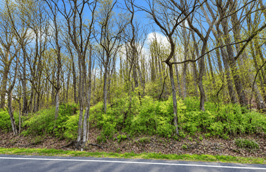 Oakland Rd, Sweetwater, TN 37874 (1)