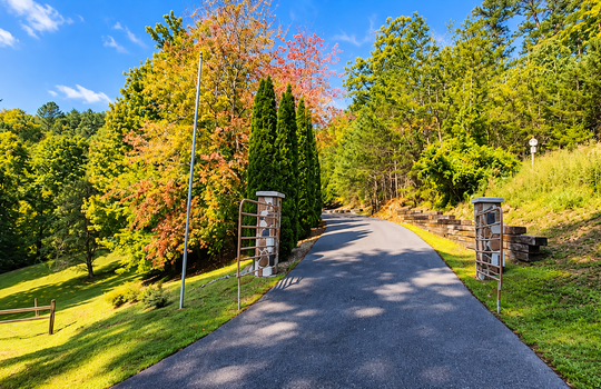 Sunlit Woodland Driveway Entrance