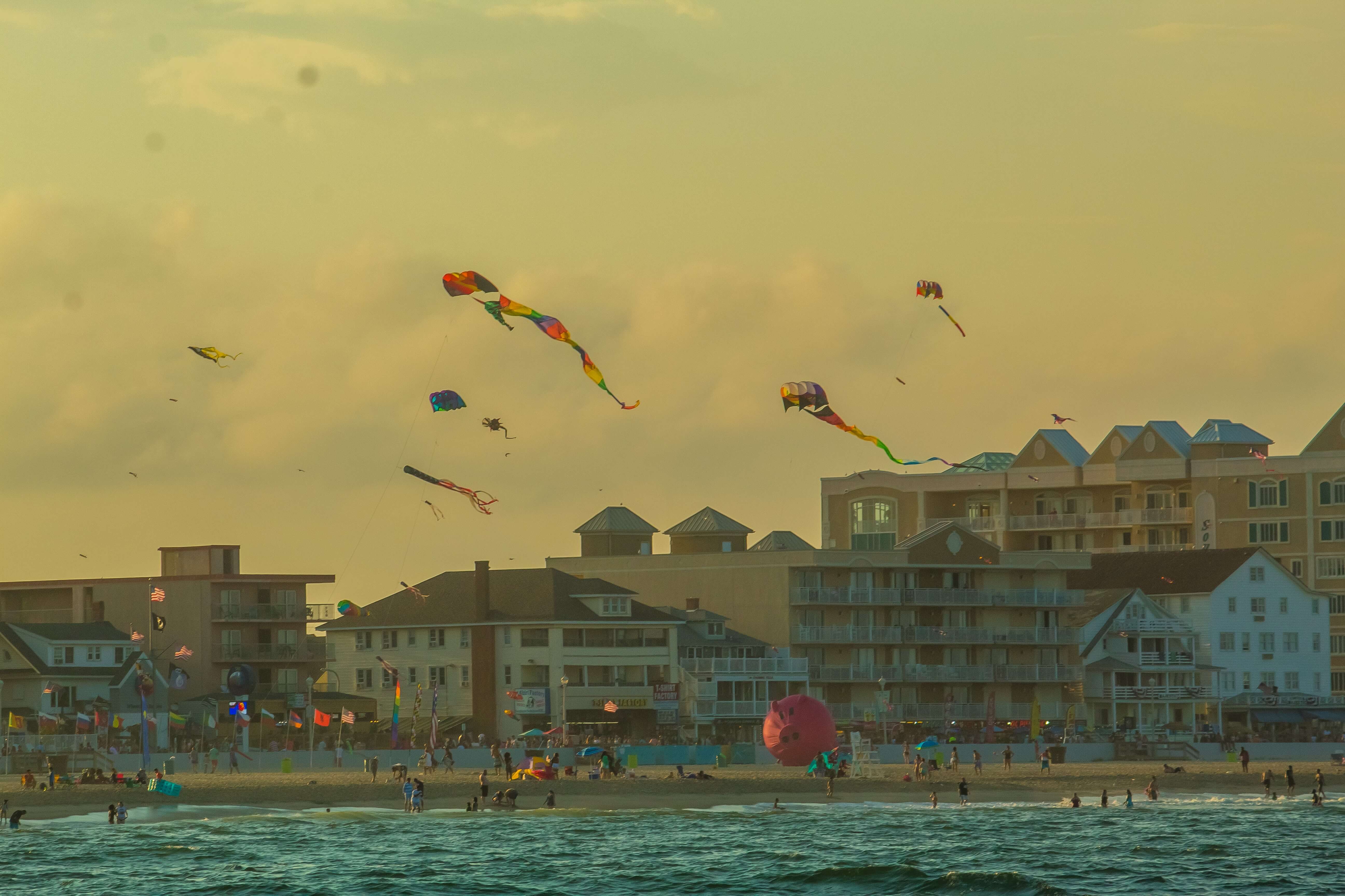 kites flying over a beach in Ocean City, Maryland
