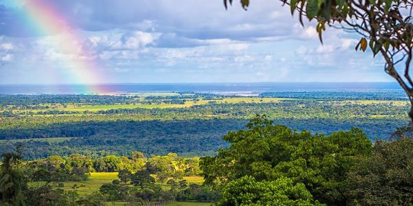 WHY ARE PEOPLE LIVING SUCH LONG HEALTHY LIVES &hellip;