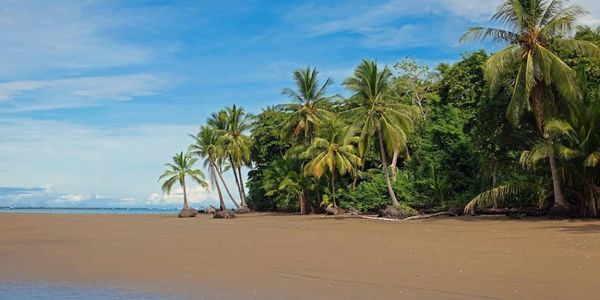 THE BASICS OF BEING A PERPETUAL TOURIST IN …