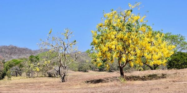 GOLD VERSES GREEN: WHAT’S YOUR FAVORITE SEASON IN &hellip;