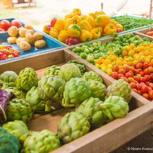 SERVICES AND AMENITIES CLOSE TO PLAYA GRANDE, COSTA RICA