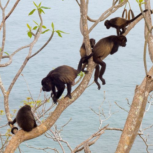 NATURE DAY TRIPS FROM PLAYA GRANDE THAT THE WHOLE FAMILY WILL ENJOY