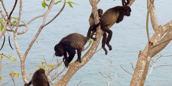 NATURE DAY TRIPS FROM PLAYA GRANDE THAT THE &hellip;