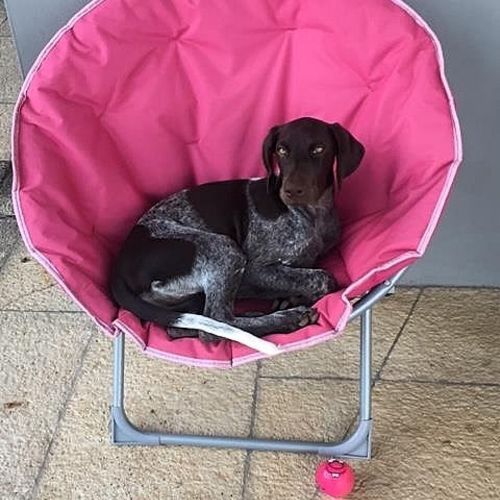 FIND OUT WHO LIVES IN THE CHARMING TOWN OF PLAYA GRANDE, COSTA RICA