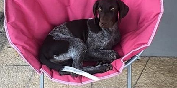 FIND OUT WHO LIVES IN THE CHARMING TOWN &hellip;